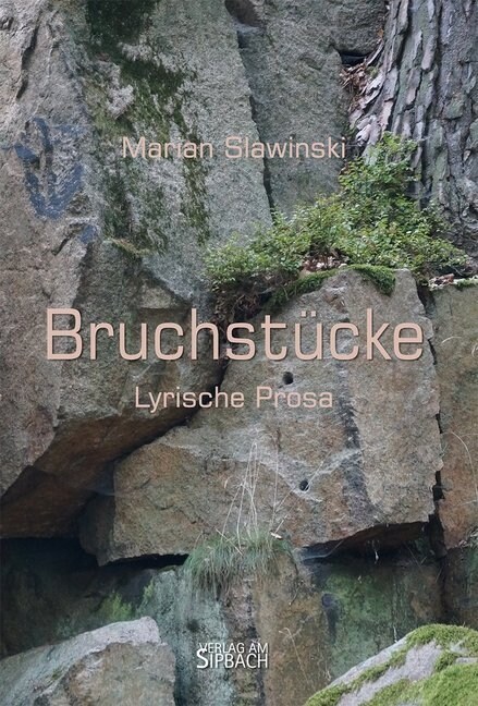 Bruchstucke (Paperback)