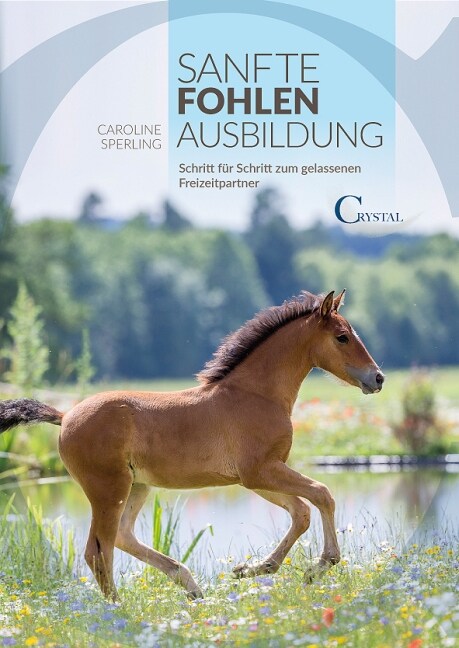 Sanfte Fohlenausbildung (Paperback)