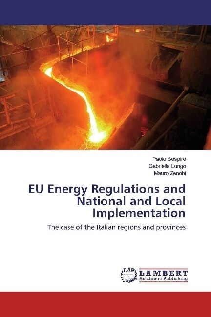 EU Energy Regulations and National and Local Implementation (Paperback)