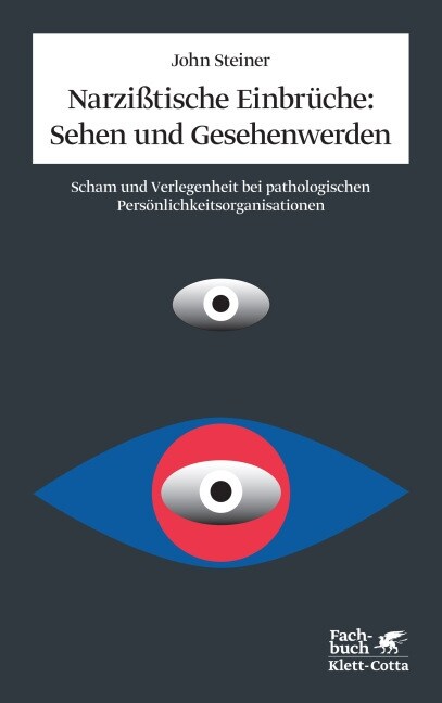 Narzißtische Einbruche, Sehen und Gesehenwerden (Paperback)