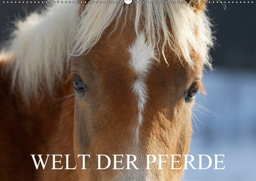 Welt der Pferde (Wandkalender 2018 DIN A2 quer) (Calendar)