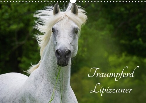 Traumpferd Lipizzaner (Wandkalender 2018 DIN A3 quer) Dieser erfolgreiche Kalender wurde dieses Jahr mit gleichen Bildern und aktualisiertem Kalendari (Calendar)