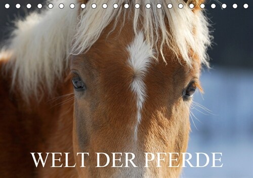 Welt der Pferde (Tischkalender 2019 DIN A5 quer) (Calendar)