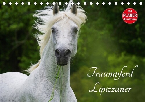 Traumpferd Lipizzaner (Tischkalender 2018 DIN A5 quer) (Calendar)