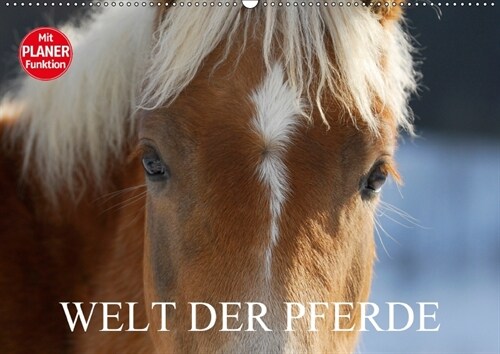 Welt der Pferde (Wandkalender 2018 DIN A2 quer) (Calendar)