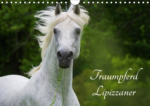 Traumpferd Lipizzaner (Wandkalender 2019 DIN A4 quer) (Calendar)