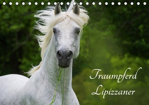 Traumpferd Lipizzaner (Tischkalender 2019 DIN A5 quer) (Calendar)