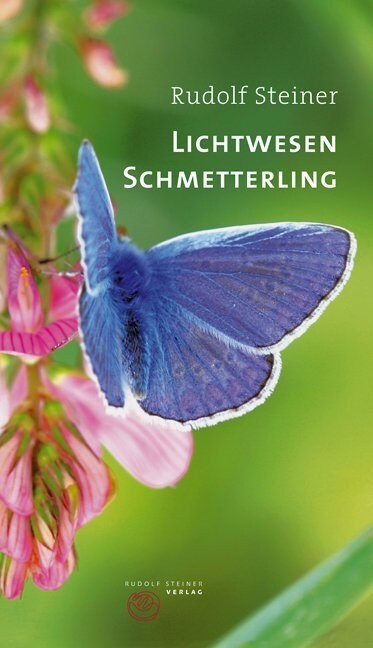 Lichtwesen Schmetterling (Paperback)