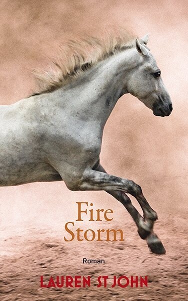 Fire Storm (Hardcover)