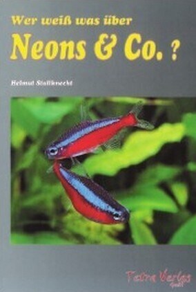 Wer weiß was uber Neons & Co.？ (Paperback)