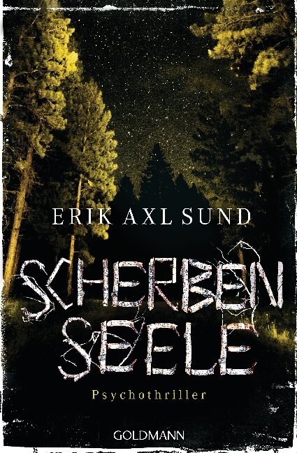 Scherbenseele (Paperback)