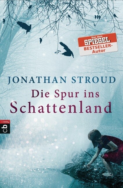 Die Spur ins Schattenland (Paperback)