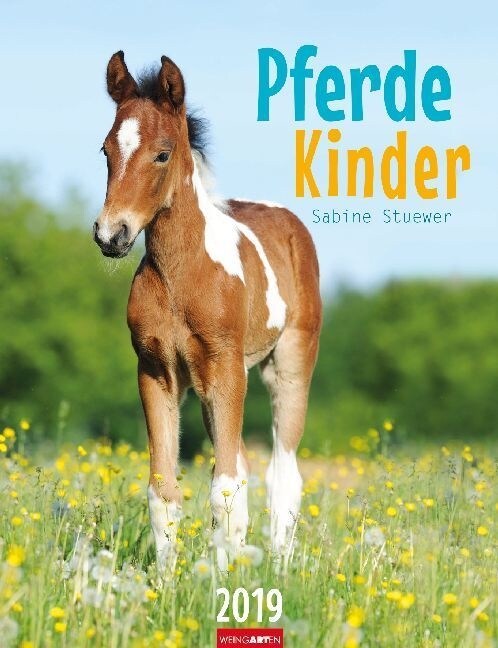 Pferdekinder 2019 (Calendar)