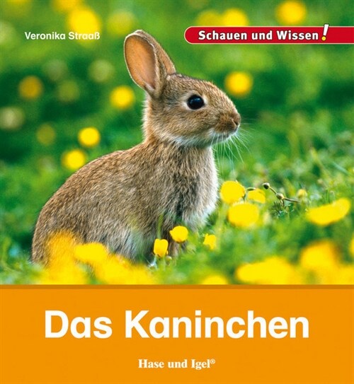 Das Kaninchen (Hardcover)