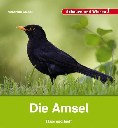 Die Amsel (Hardcover)