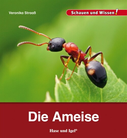 Die Ameise (Hardcover)