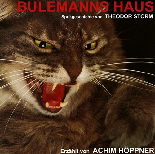 Bulemanns Haus, 1 Audio-CD (CD-Audio)