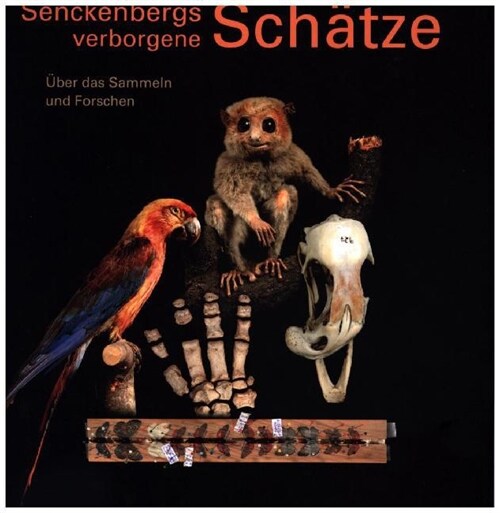 Senckenbergs verborgene Schatze (Paperback)