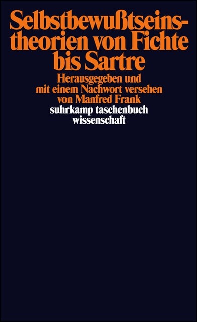 Selbstbewußtseinstheorien von Fichte bis Sartre (Paperback)