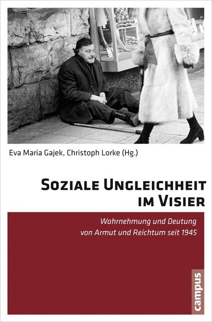 Soziale Ungleichheit im Visier (Paperback)