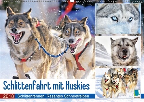 Schlittenfahrt mit Huskys (Wandkalender 2018 DIN A2 quer) Dieser erfolgreiche Kalender wurde dieses Jahr mit gleichen Bildern und aktualisiertem Kalen (Calendar)