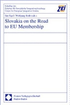 Slovakia on the Road to EU Membership (Hardcover)