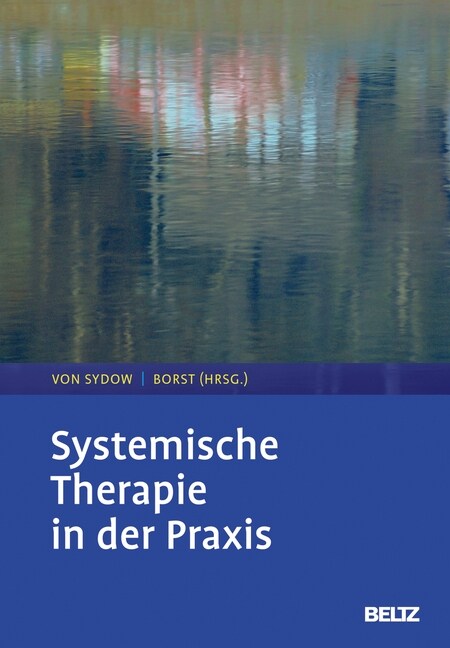 Systemische Therapie in der Praxis (Hardcover)