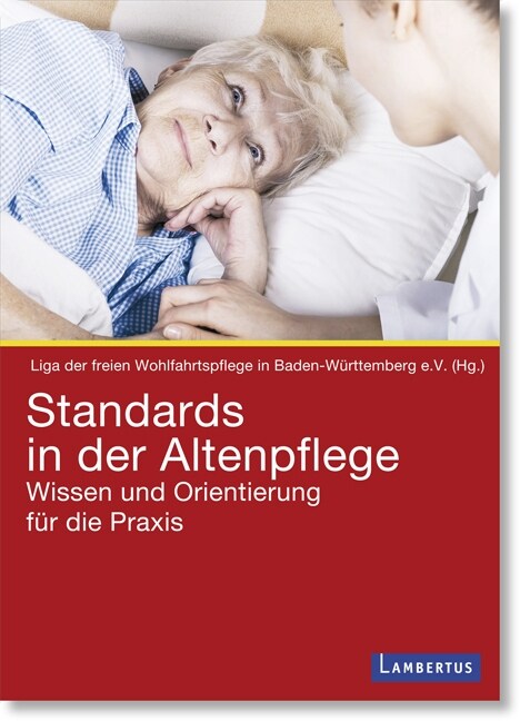 Standards in der Altenpflege (Paperback)