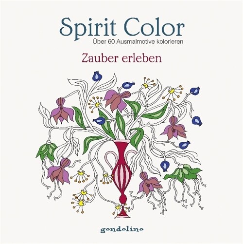 Spirit Color: Zauber erleben (Paperback)