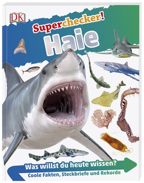 Superchecker! Haie (Paperback)