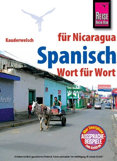 Spanisch fur Nicaragua Wort fur Wort (Paperback)