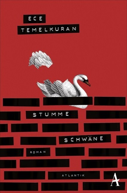 Stumme Schwane (Paperback)