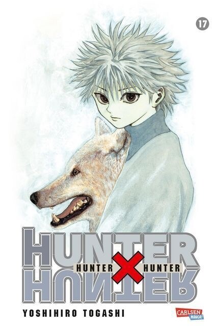 Hunter X Hunter. Bd.17 (Paperback)