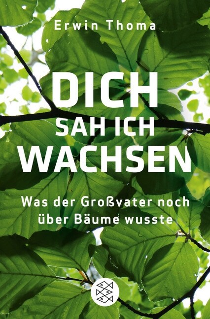 Dich sah ich wachsen (Paperback)