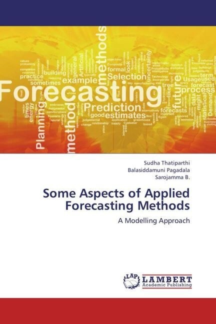 Some Aspects of Applied Forecasting Methods (Paperback)