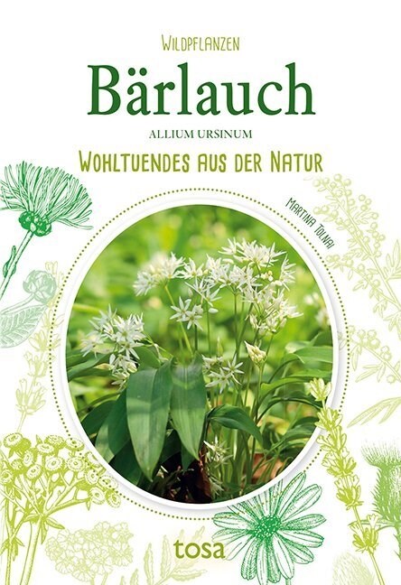 Barlauch - Allium Ursinum (Paperback)