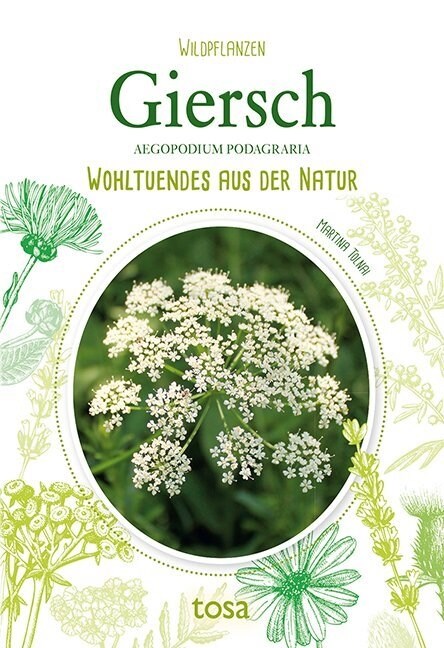 Giersch - Aegopodium Podagraria (Paperback)