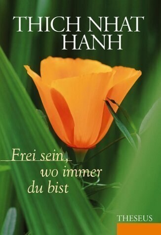 Frei sein, wo immer du bist (Hardcover)