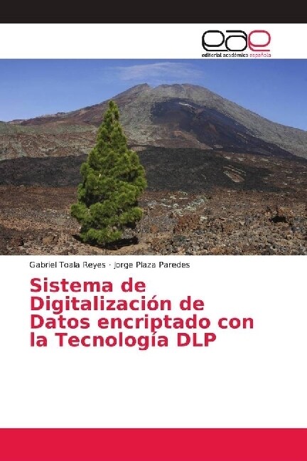 Sistema de Digitalizaci? de Datos encriptado con la Tecnolog? DLP (Paperback)