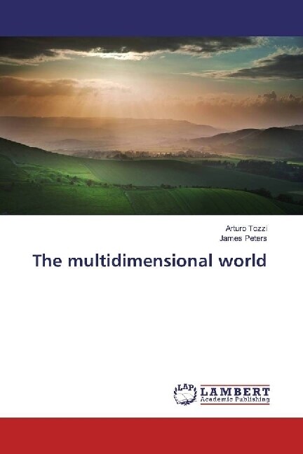 The multidimensional world (Paperback)