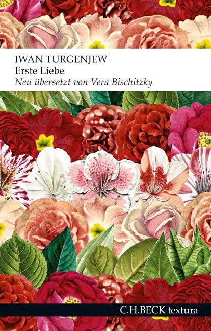 Erste Liebe (Paperback)