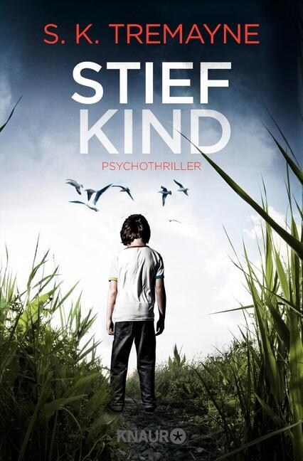 Stiefkind (Paperback)