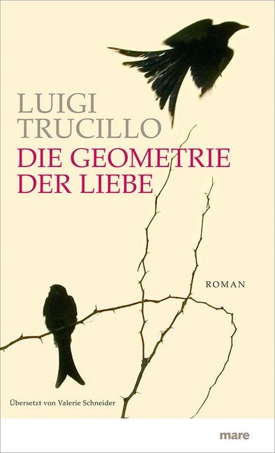 Die Geometrie der Liebe (Hardcover)