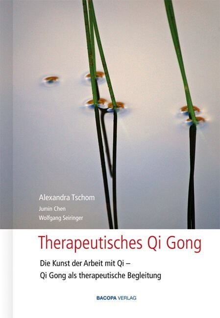 Therapeutisches Qi Gong (Hardcover)