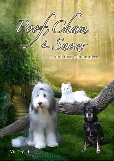 Poof, Cham & Snow (Hardcover)