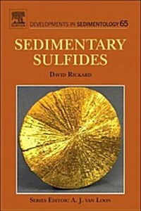 Sulfidic Sediments and Sedimentary Rocks (Hardcover, 1st)