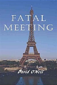 Fatal Meeting: A Tale of Young Love and Advernture (Paperback)