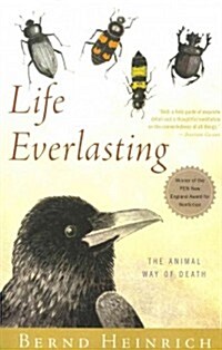 Life Everlasting: The Animal Way of Death (Paperback)