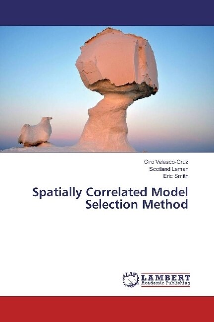 Spatially Correlated Model Selection Method (Paperback)
