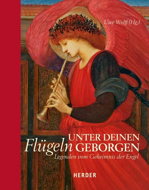 Unter deinen Flugeln geborgen (Hardcover)